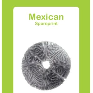 2014363-mexican sporeprint