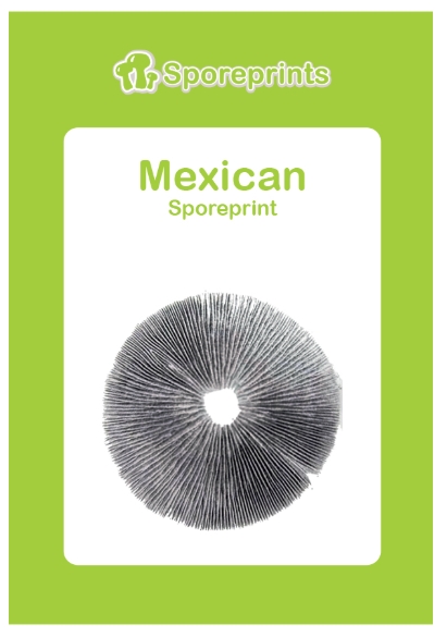 2014363-mexican sporeprint 2014363-mexican sporeprint