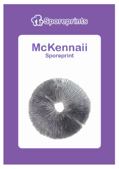2014791-mckennaii sporeprint 2014791-mckennaii sporeprint