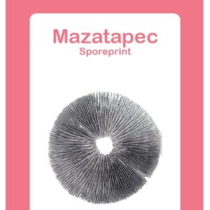2014900-mazatapec sporeprint