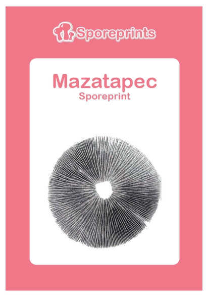 2014900-mazatapec sporeprint 2014900-mazatapec sporeprint