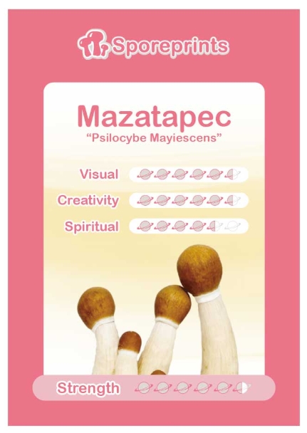 2014900-mazatapec sporeprint2