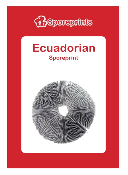 2014964-ecuadorian sporeprint 2014964-ecuadorian sporeprint