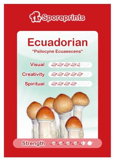 2014964-ecuadorian sporeprint2