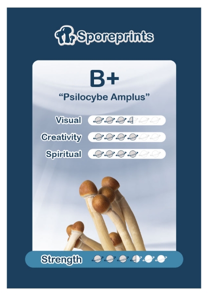 2015053-b plus sporeprint2