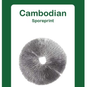 2015170-cambodian sporeprint