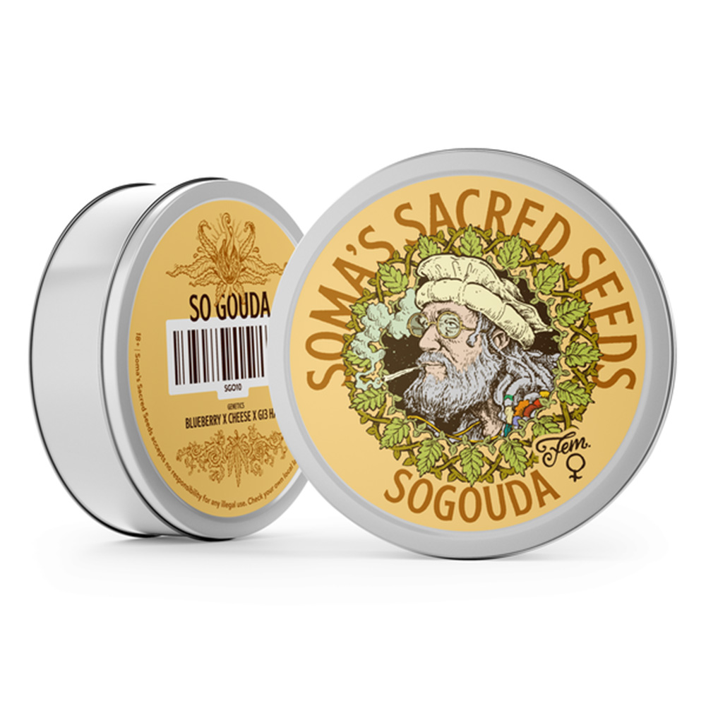 SoGouda